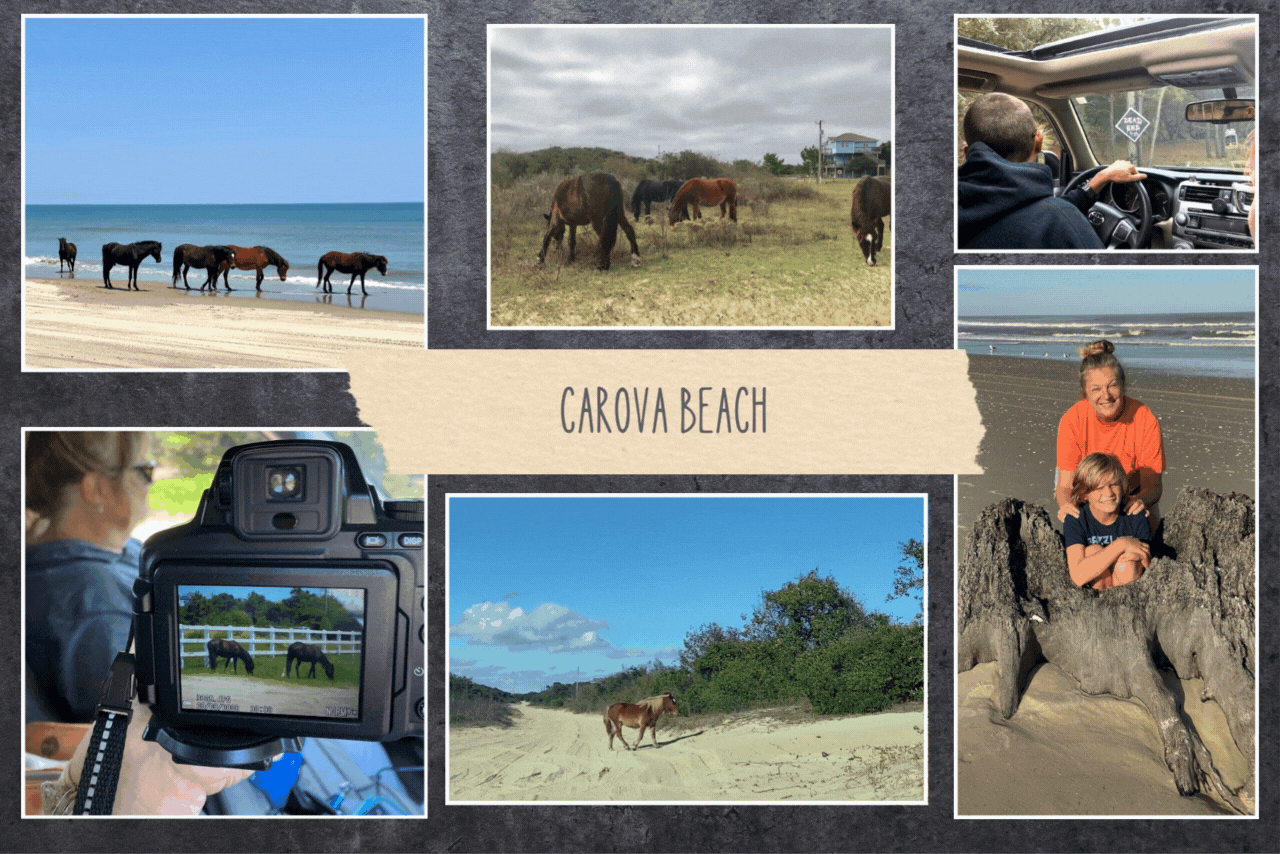 Best Photo Ops Carova beach Best Photo Ops Carova beach