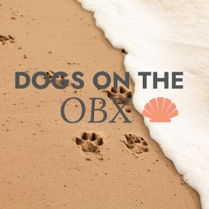 Dogs on the Outer Banks