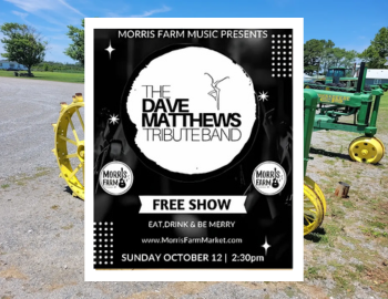 DAVE MATTHEWS TRIBUTE BAND