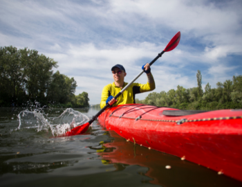 Kayak Tours