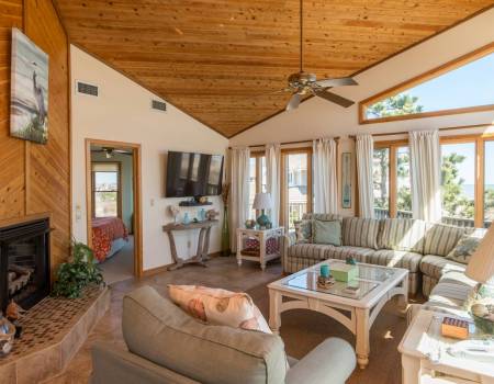 Dolphin Destination - D6650