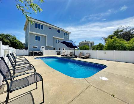 The Lazy Dog - C0499