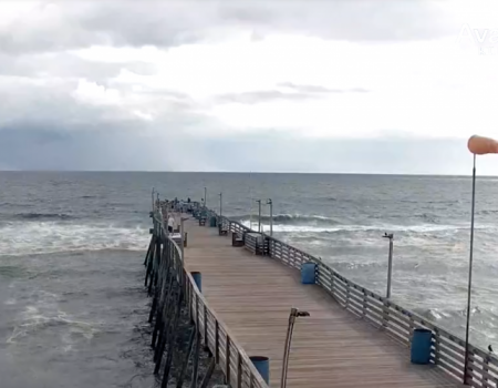 Avalon Pier Cam