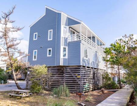 Salty Shamrock - C4985