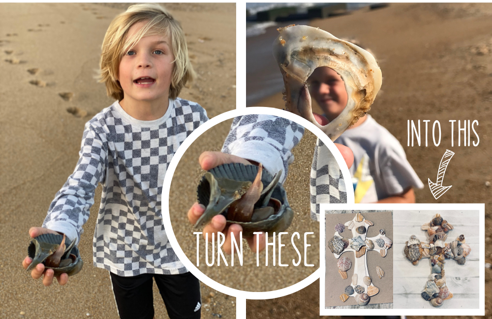 Shell DIY Craft