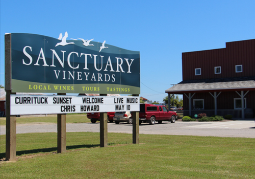 Sanctuary Vineyards