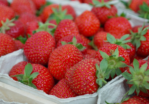 Pick Your Own Berries